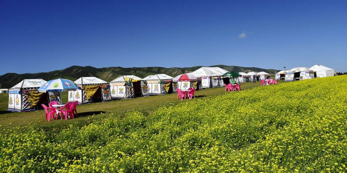 Grassland Picnic